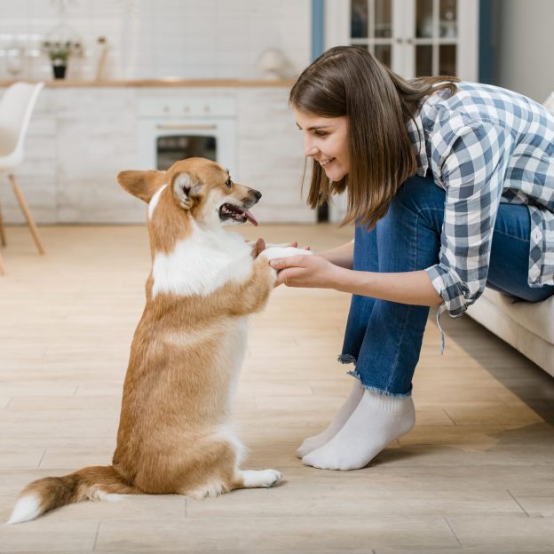 vista-lateral-da-mulher-segurando-as-patas-seu-cao