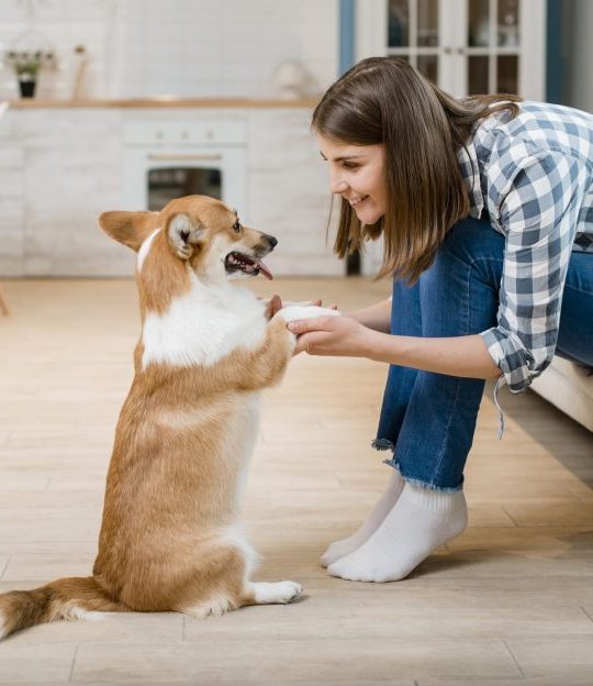 vista-lateral-da-mulher-segurando-as-patas-seu-cao